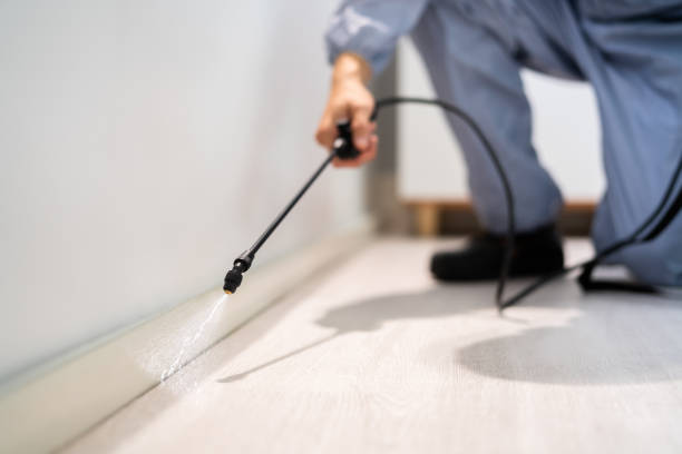 Professional exterminator conducting IPM assessment in Herington
